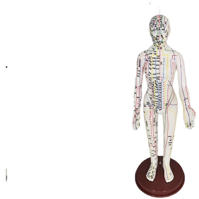 Human acupuncture point model acupuncture meridians teaching small bronze person super clear body 12 meridians human model