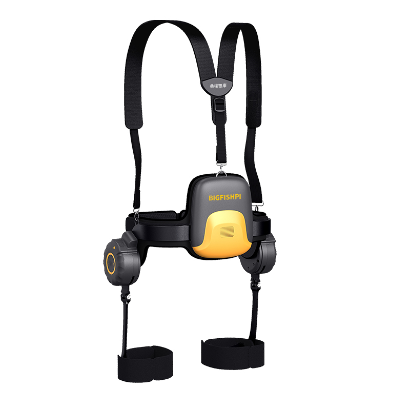 Export to Japan: Walking AIDS for the elderly to assist with mountain climbing and walkingExport to Japan: Walking AIDS for the elderly to assist with mountain